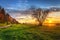 Granaries of Grudziadz and Vistula river at sunset. Poland