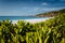 Grand Anse beach at La Digue island in Seychelles. White sandy beach with blue ocean lagoon. Green defocused foliage