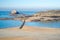 Grand Be and Petit Be islands at low tide in Saint Malo, Brittany France