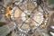 Grand, beautiful dome and chandelier in New Mosque (Yeni Cami)