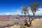 Grand Canyon landscape - Maricopa Point