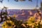 The Grand Canyon is a mesmerizing sight at sunset, where the vibrant, colorful sky meets a blurred yet enchanting foreground