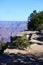 Grand Canyon National Park, Arizona, USA: South Rim trail