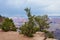 Grand Canyon National Park landscape.