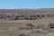 Grand Canyon Painted Desert Petrified National Forest desert floor Panorama