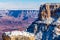 Grand Canyon; snow covered mesa with tree and yucca plant. Rocky Butte on right. Red Canyon, Colorado River below.