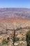 Grand Canyon from the south rim