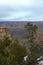 Grand Canyon vertical view with snow on the foreground