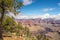 Grand Canyon - View from Mohave point