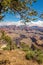 Grand Canyon - View from Mohave point