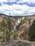 Grand Canyon of the Yellowstone National Park with Waterfall and trees