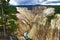 Grand Canyon of the Yellowstone with Pine tree in Foreground