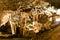 Grand Caverns - Grottoes Virginia USA