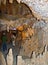 Grand Caverns - Grottoes Virginia USA