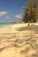 Grand Cayman - 3/15/2018 - Beautiful beach in the Caribbean island of Grand Caymans