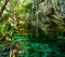 Grand Cenote in Mexico.