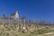 Grand cru vineyard and Chapel of Saint Christopher, Tain l'Hermitage, Rhone-Alpes, France