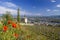 Grand cru vineyard and Chapel of Saint Christopher, Tain l'Hermitage, Rhone-Alpes, France