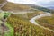 grand cru vineyard of Cote Rotie, Rhone-Alpes, France