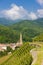 grand cru vineyard, Thann, Alsace, France