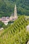 grand cru vineyard, Thann, Alsace, France