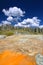 Grand Geyser Landscape Yellowstone