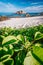 Grand L Anse, La Digue, Seychelles. Hidden beach with green foliage and unique huge granite rocks, sandy beach and ocean