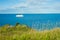 Grand Manan ferry sailing near the island