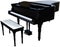 Grand Piano Musical Instrument Isolated