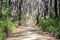 Grand ridge rail trail walking track in between Mirboo North and Boolarra