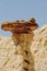 Grand Staircase-Escalante national monumen. Toadstools, an amazing balanced rock formations