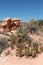 Grand Staircase-Escalante National Monument - Devils Garden