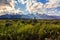 Grand Teton Afternoon Light, Grand Teton National Park