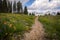 Grand Teton Hiking Trail