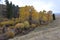 Grand Teton National Park has color all year around, though as winter approaches the color white dominates