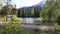 Grand Teton National Park: River and Balsamroot Flowers