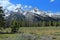 Grand Teton National Park with Rocky Mountains Range in Spring, Wyoming, USA