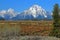 Grand Teton National Park, Snow-covered Mount Moran towering above Jackson Lake and Open Meadows, Wyoming, USA