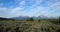 Grand Teton Range protruding from sagebrush and willow plains.