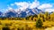 The Grand Tetons and Fall Colored Trees viewed from Schwabacher Landing in Grand Tetons National Park