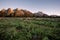 Grand Tetons at Sunrise, Wyoming