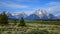 Grand Tetons from Willow Flats