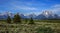 Grand Tetons from Willow Flats