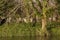 Grand Union Canal and the Cemetery at Kensal Rise.