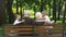 Grandchildren running to grandparents and hugging them, resting on bench in park