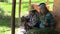 Granddaughter and grandma reap medical camomile seated in shade