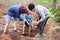 Grandfather, daughter and grandson planting trees