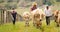 Grandfather Father Child Pasturing Cows In Family Ranch