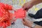 Grandfather giving lucky money to grandson on the first day of Vietnamese lunar new year Tet