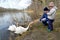 The grandfather and the granddaughter feed swans on the bank of the forest lake